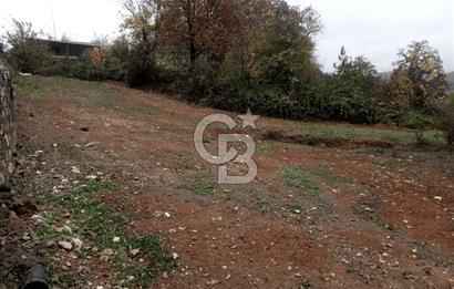 CB CLASS BURSA MUSTAFAKEMALPAŞA ŞAPÇI SATILIK ARSA