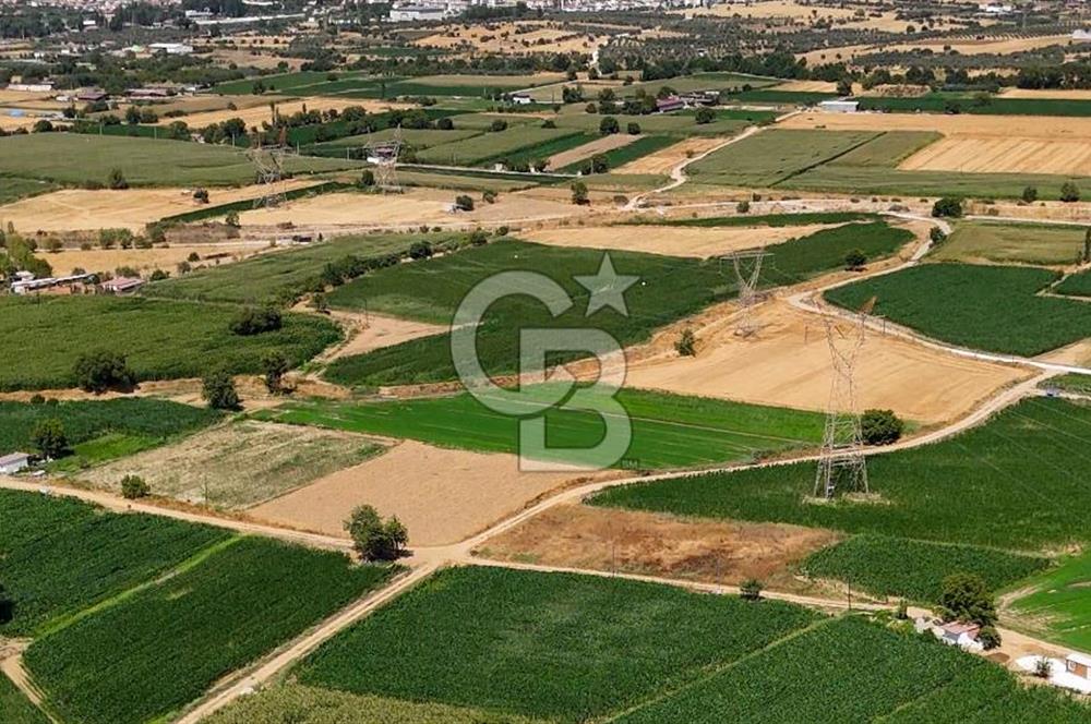 CB MARİNA'DAN YATAĞAN OVASINDA HIZLI YATIRIM FIRSATI 387M2 TARLA