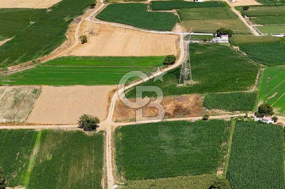 CB MARİNA'DAN YATAĞAN OVASINDA HIZLI YATIRIM FIRSATI 387M2 TARLA