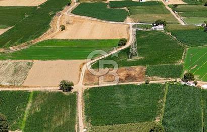 CB MARİNA'DAN YATAĞAN OVASINDA HIZLI YATIRIM FIRSATI 387M2 TARLA