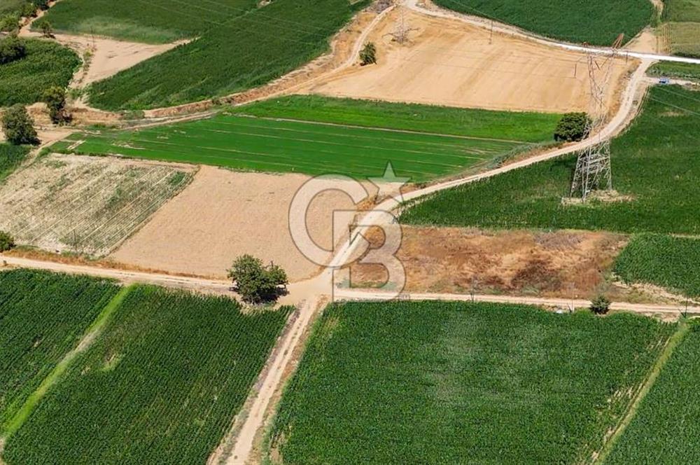 CB MARİNA'DAN YATAĞAN OVASINDA HIZLI YATIRIM FIRSATI 387M2 TARLA