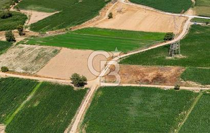 CB MARİNA'DAN YATAĞAN OVASINDA HIZLI YATIRIM FIRSATI 387M2 TARLA