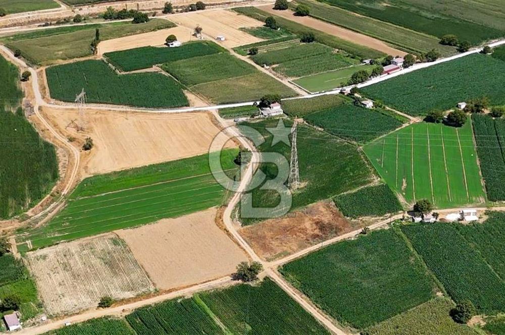 CB MARİNA'DAN YATAĞAN OVASINDA HIZLI YATIRIM FIRSATI 387M2 TARLA