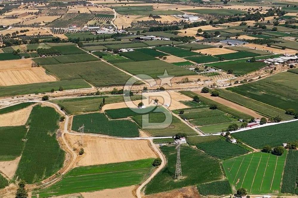 CB MARİNA'DAN YATAĞAN OVASINDA HIZLI YATIRIM FIRSATI 387M2 TARLA