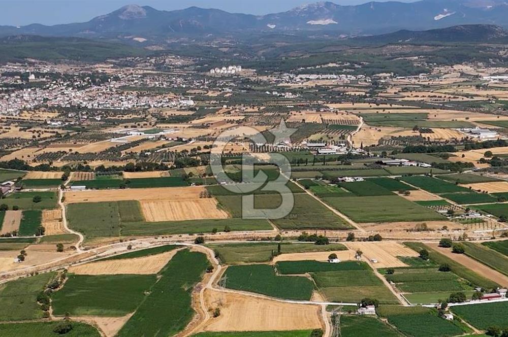 CB MARİNA'DAN YATAĞAN OVASINDA HIZLI YATIRIM FIRSATI 387M2 TARLA
