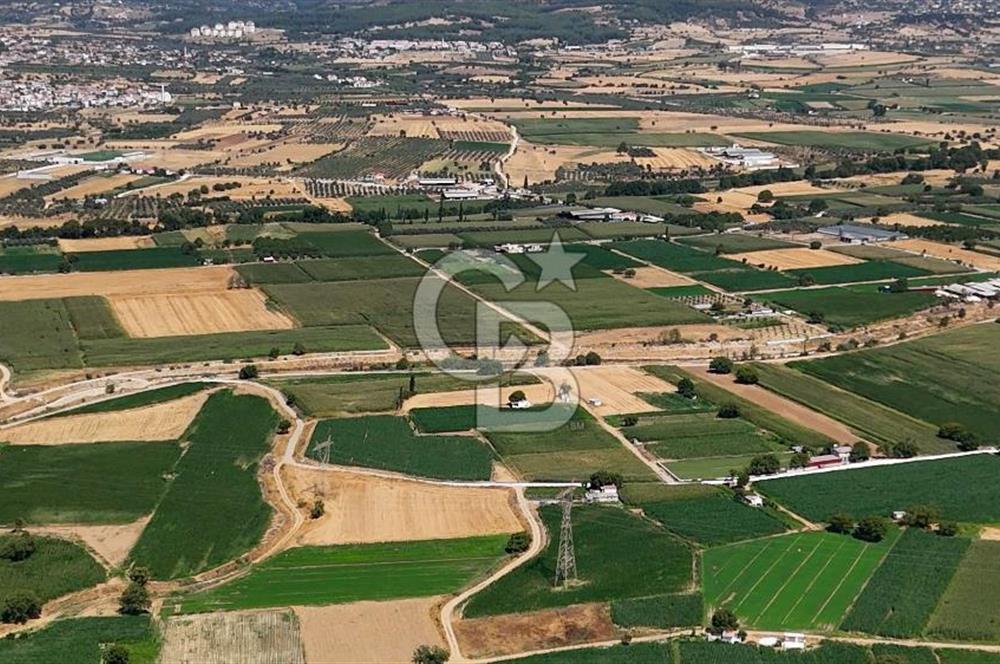 CB MARİNA'DAN YATAĞAN OVASINDA HIZLI YATIRIM FIRSATI 387M2 TARLA