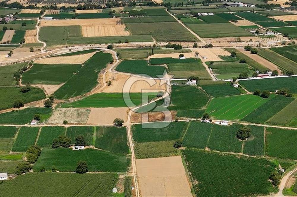 CB MARİNA'DAN YATAĞAN OVASINDA HIZLI YATIRIM FIRSATI 387M2 TARLA