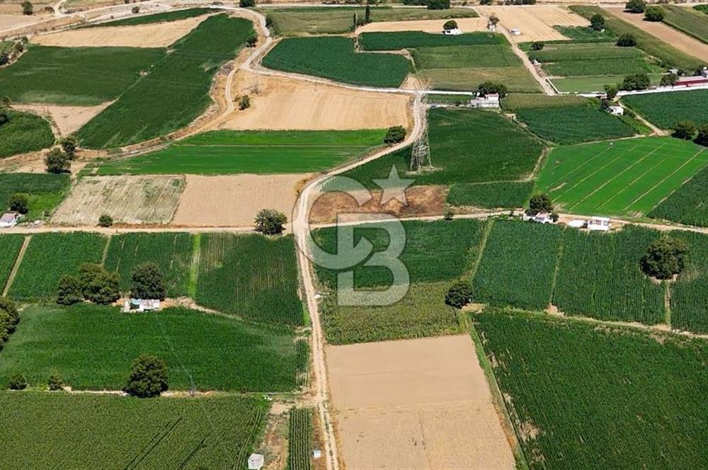 CB MARİNA'DAN YATAĞAN OVASINDA HIZLI YATIRIM FIRSATI 387M2 TARLA