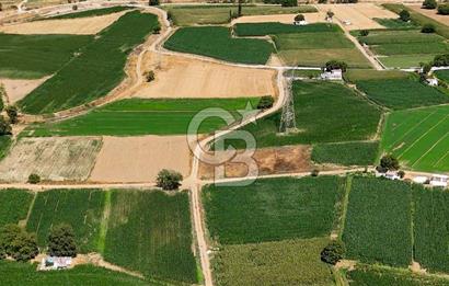 CB MARİNA'DAN YATAĞAN OVASINDA HIZLI YATIRIM FIRSATI 387M2 TARLA