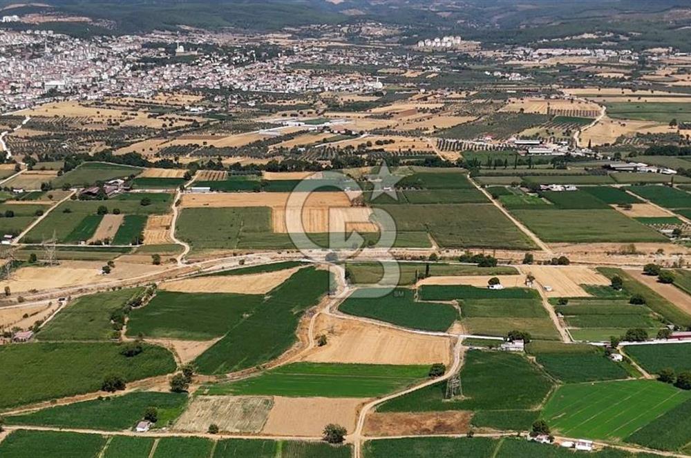 CB MARİNA'DAN YATAĞAN OVASINDA HIZLI YATIRIM FIRSATI 387M2 TARLA