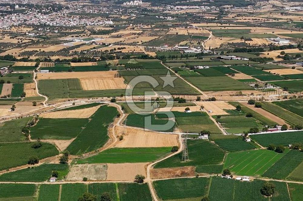 CB MARİNA'DAN YATAĞAN OVASINDA HIZLI YATIRIM FIRSATI 387M2 TARLA
