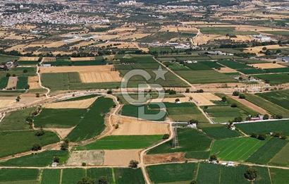 CB MARİNA'DAN YATAĞAN OVASINDA HIZLI YATIRIM FIRSATI 387M2 TARLA