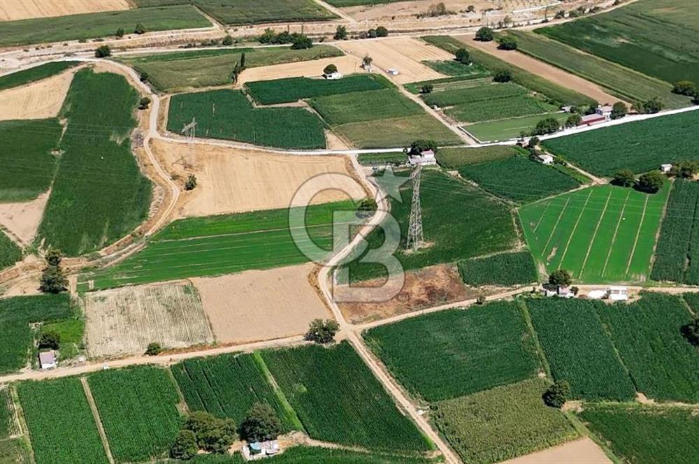 CB MARİNA'DAN YATAĞAN OVASINDA HIZLI YATIRIM FIRSATI 387M2 TARLA
