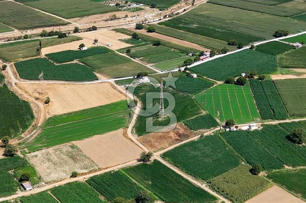 CB MARİNA'DAN YATAĞAN OVASINDA HIZLI YATIRIM FIRSATI 387M2 TARLA