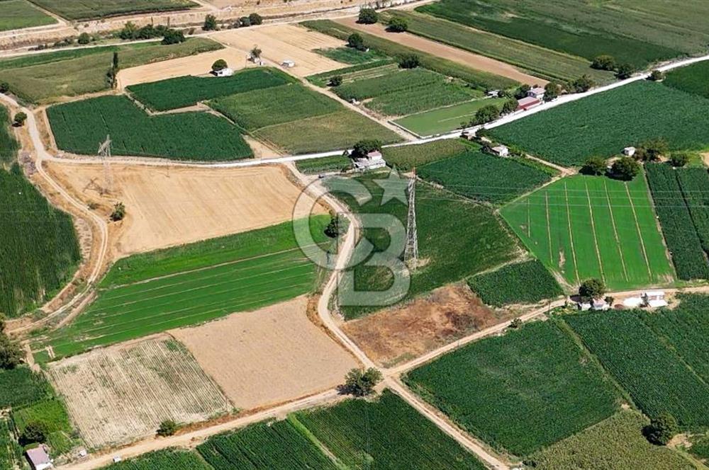 CB MARİNA'DAN YATAĞAN OVASINDA HIZLI YATIRIM FIRSATI 387M2 TARLA