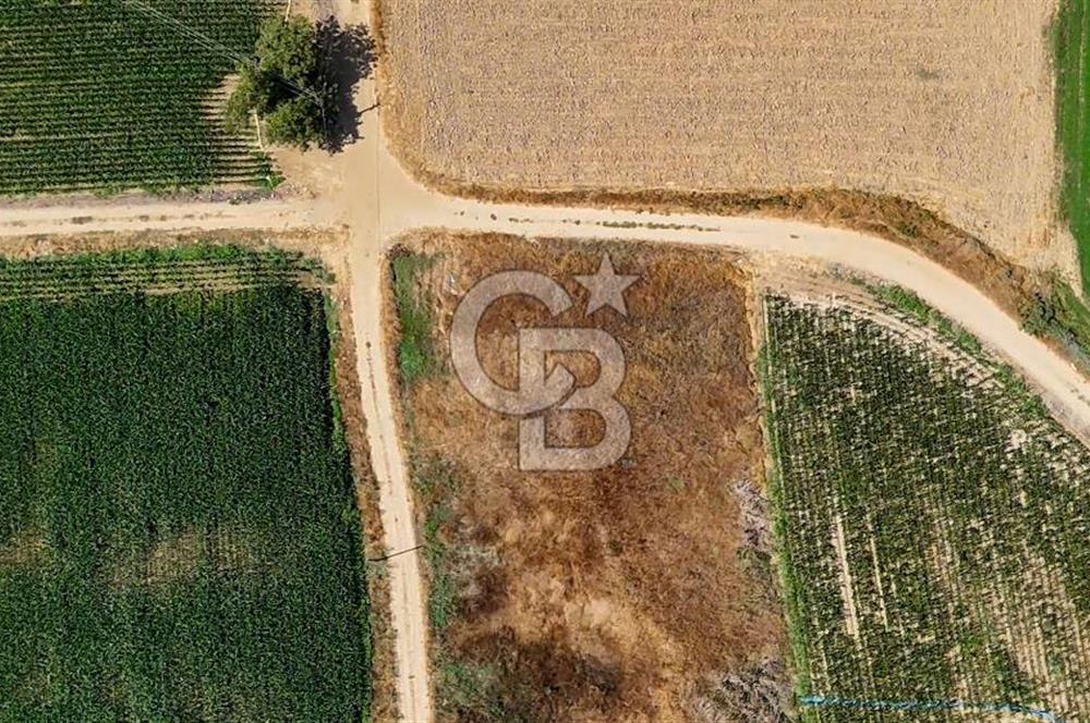 CB MARİNA'DAN YATAĞAN OVASINDA HIZLI YATIRIM FIRSATI 387M2 TARLA