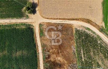 CB MARİNA'DAN YATAĞAN OVASINDA HIZLI YATIRIM FIRSATI 387M2 TARLA