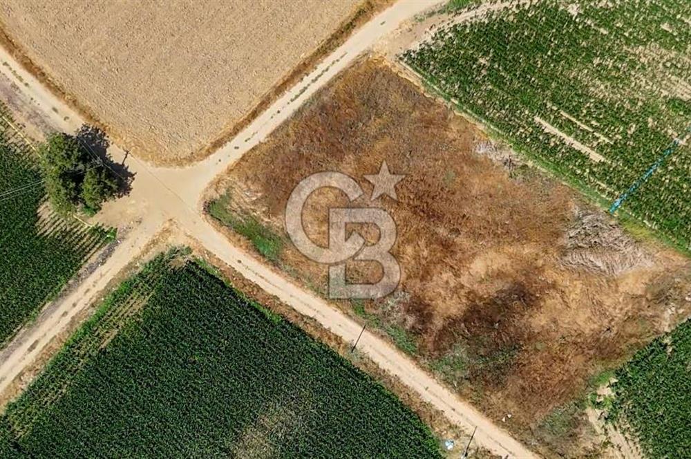 CB MARİNA'DAN YATAĞAN OVASINDA HIZLI YATIRIM FIRSATI 387M2 TARLA