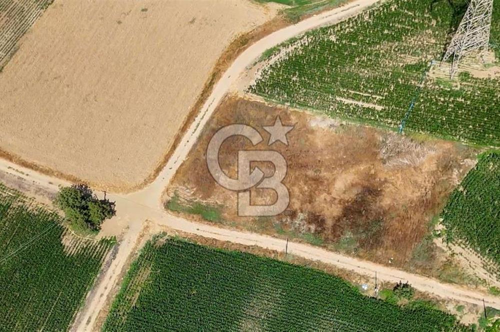 CB MARİNA'DAN YATAĞAN OVASINDA HIZLI YATIRIM FIRSATI 387M2 TARLA