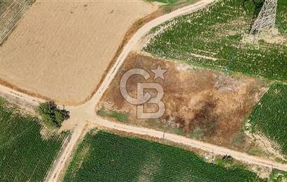 CB MARİNA'DAN YATAĞAN OVASINDA HIZLI YATIRIM FIRSATI 387M2 TARLA