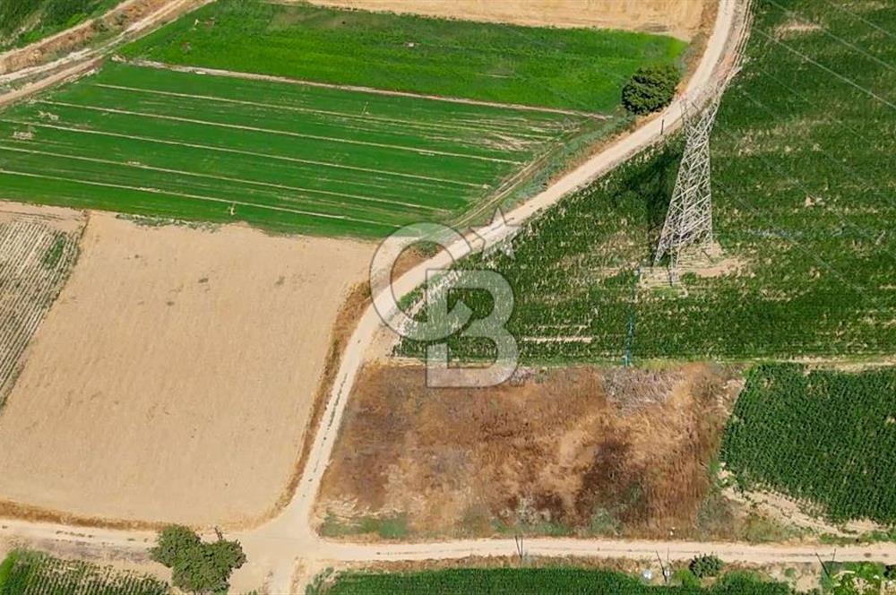 CB MARİNA'DAN YATAĞAN OVASINDA HIZLI YATIRIM FIRSATI 387M2 TARLA