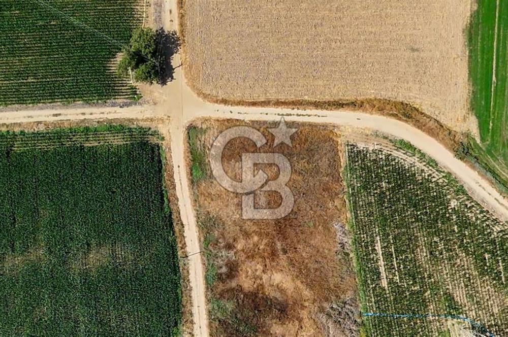 CB MARİNA'DAN YATAĞAN OVASINDA HIZLI YATIRIM FIRSATI 387M2 TARLA