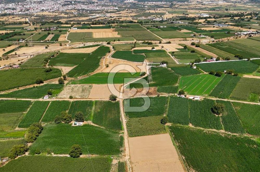 CB MARİNA'DAN YATAĞAN OVASINDA HIZLI YATIRIM FIRSATI 387M2 TARLA