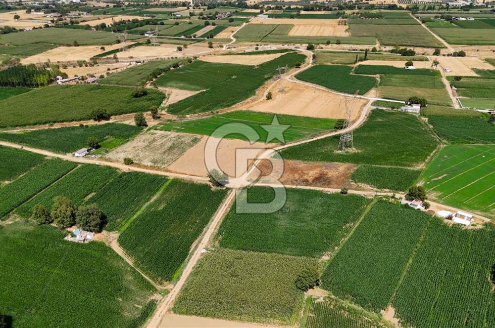CB MARİNA'DAN YATAĞAN OVASINDA HIZLI YATIRIM FIRSATI 387M2 TARLA