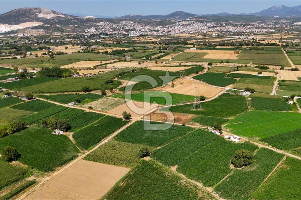 CB MARİNA'DAN YATAĞAN OVASINDA HIZLI YATIRIM FIRSATI 387M2 TARLA