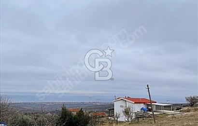 Şarköy igdebagları Deniz manzaralı Yatırıma Uygun Arsa 