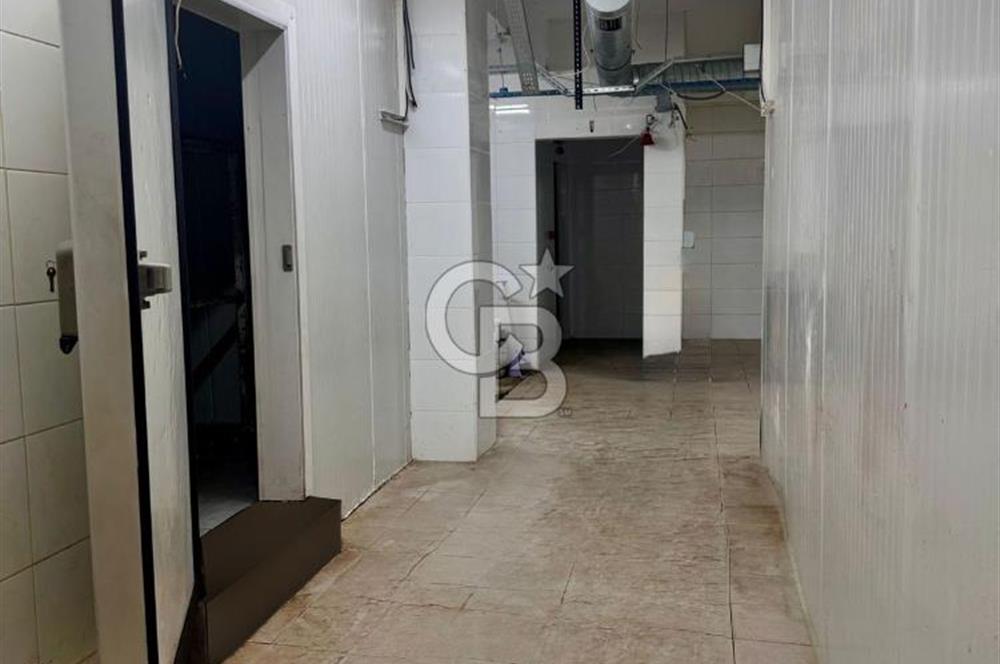 Sultanbeyli Aytop Gıda Sanayi Sitesi’nde Net 980 m2 Kiralık Dükkan