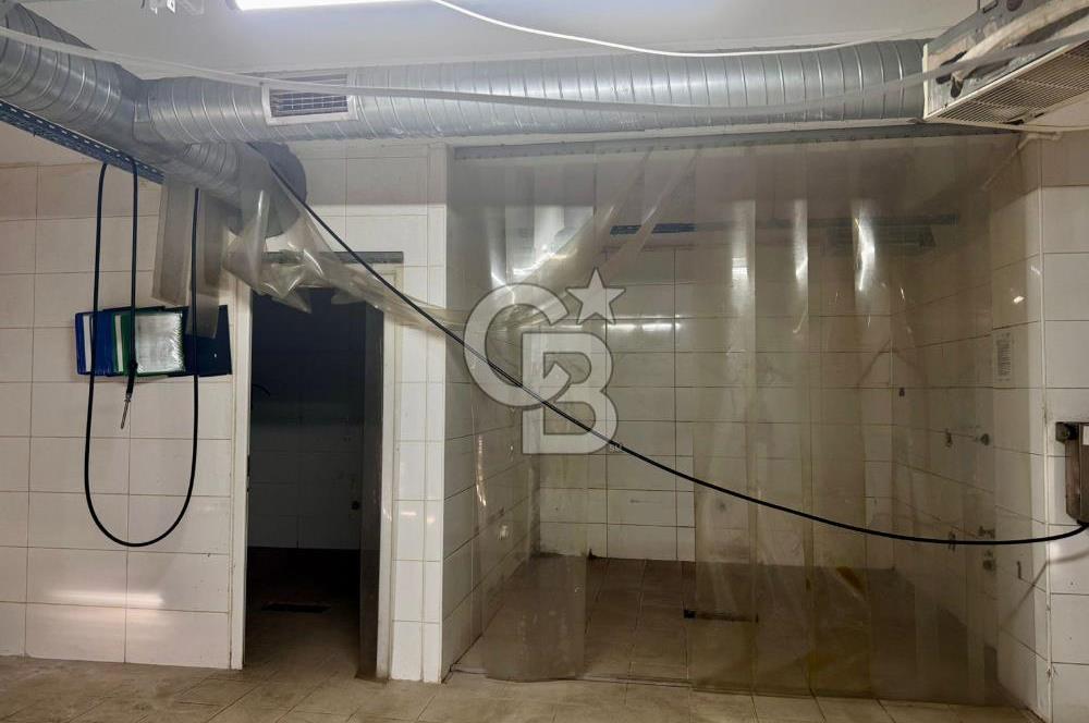 Sultanbeyli Aytop Gıda Sanayi Sitesi’nde Net 980 m2 Kiralık Dükkan