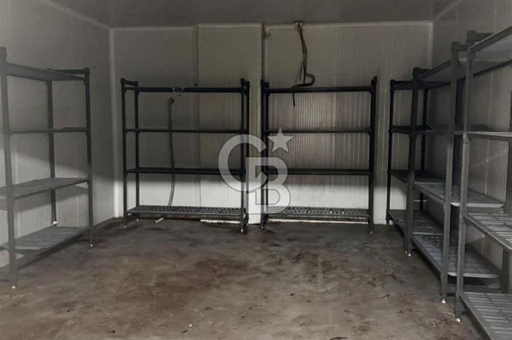 Sultanbeyli Aytop Gıda Sanayi Sitesi’nde Net 980 m2 Kiralık Dükkan