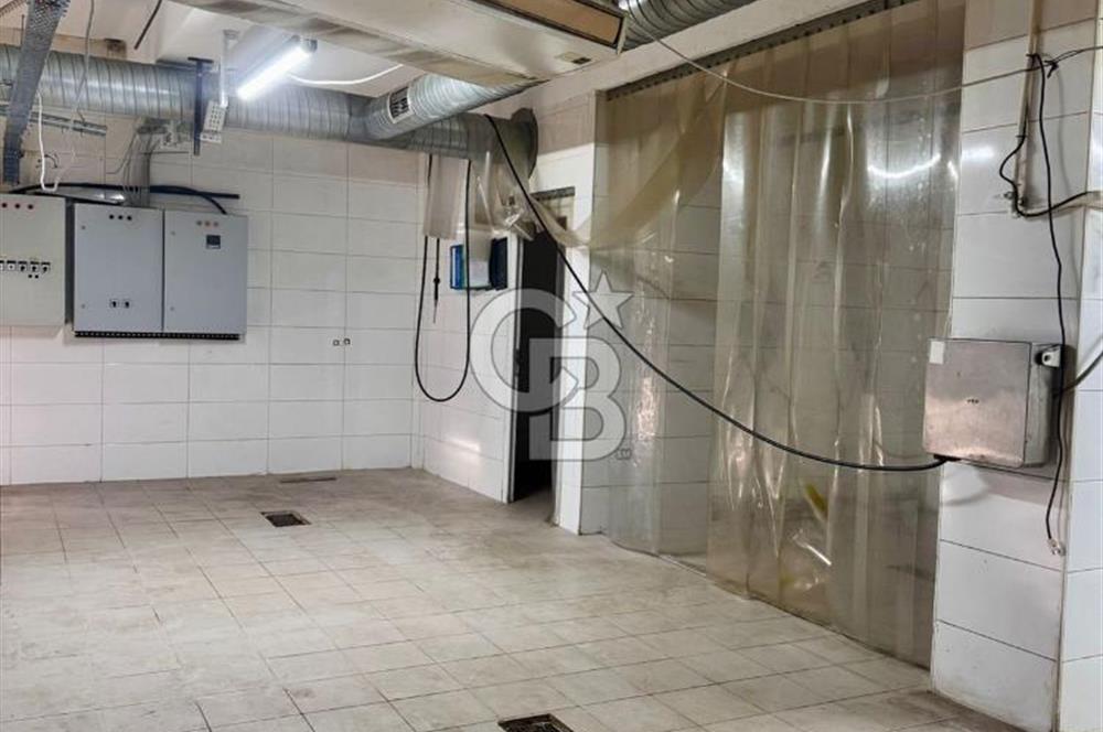 Sultanbeyli Aytop Gıda Sanayi Sitesi’nde Net 980 m2 Kiralık Dükkan