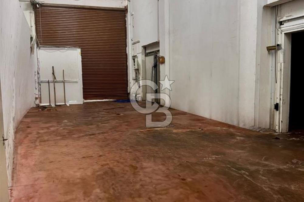 Sultanbeyli Aytop Gıda Sanayi Sitesi’nde Net 980 m2 Kiralık Dükkan