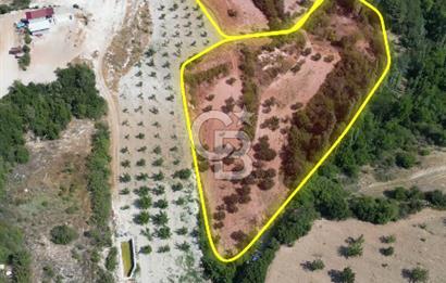 Çal Sakızcılar da 17.225 M² Satılık Karışık Meyve Bahçesi