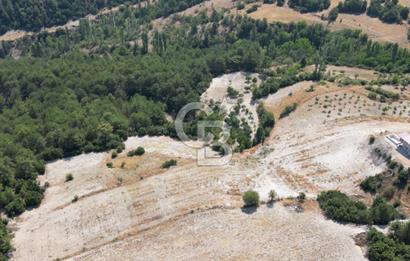 Çal Sakızcılar da 17.225 M² Satılık Karışık Meyve Bahçesi