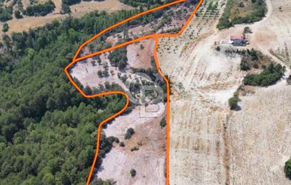 Çal Sakızcılar da 17.225 M² Satılık Karışık Meyve Bahçesi