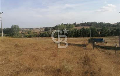Tekirdağ Saray Büyükyoncalı 3 Kat imarlı Satılık Arsa