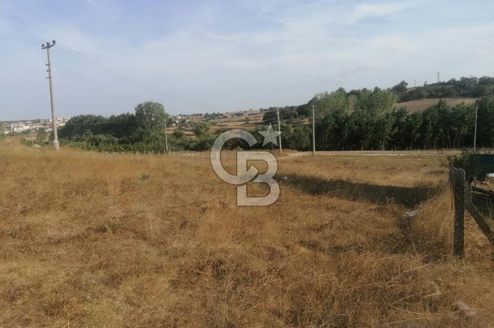 Tekirdağ Saray Büyükyoncalı 3 Kat imarlı Satılık Arsa