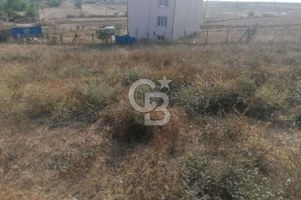 Tekirdağ Saray Büyükyoncalı 3 Kat imarlı Satılık Arsa