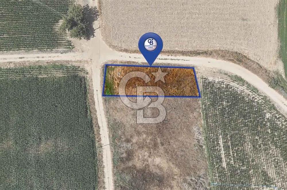 CB MARİNA'DAN YATAĞAN OVASINDA HIZLI YATIRIM FIRSATI 387M2 TARLA