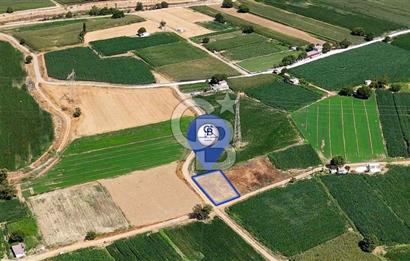 CB MARİNA'DAN YATAĞAN OVASINDA HIZLI YATIRIM FIRSATI 387M2 TARLA
