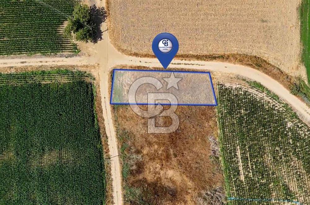 CB MARİNA'DAN YATAĞAN OVASINDA HIZLI YATIRIM FIRSATI 387M2 TARLA
