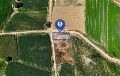 CB MARİNA'DAN YATAĞAN OVASINDA HIZLI YATIRIM FIRSATI 387M2 TARLA