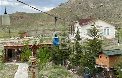 AYAŞ SİNANLI 564 M2 ARSA ÜZERİNE İSKANLI MÜSTAKİL EV