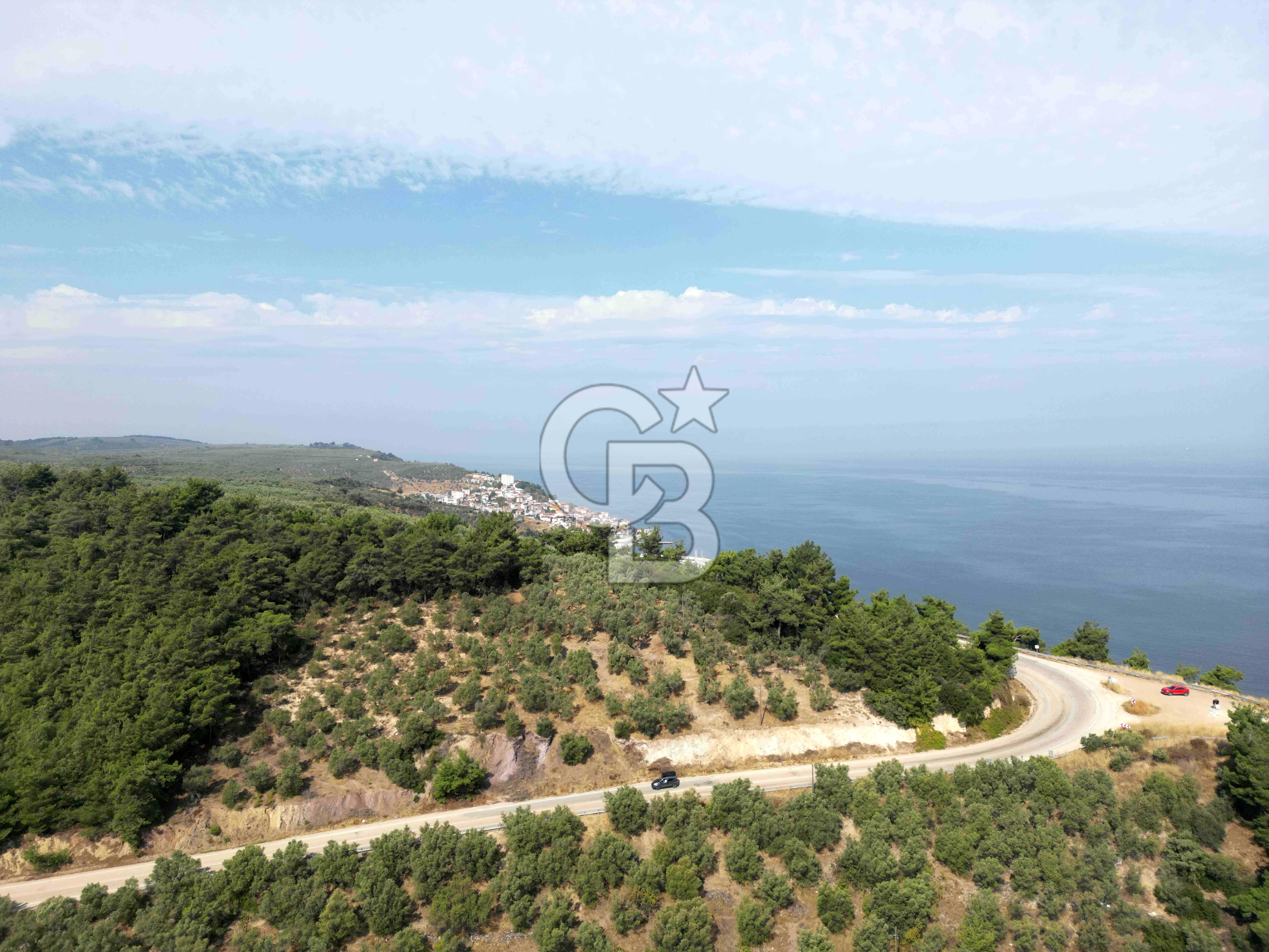 TRİLYE'DE DENİZ MANZARALI ANA YOLA CEPHE SATILIK ZEYTİNLİK
