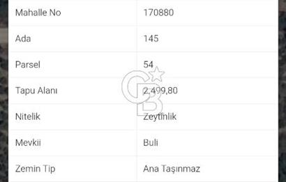 TRİLYE'DE DENİZ MANZARALI ANA YOLA CEPHE SATILIK ZEYTİNLİK