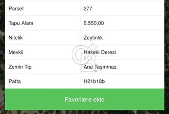 MUDANYA YÖRÜKALİ'DE SATILIK BAKIMLI ZEYTİNLİK