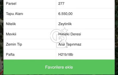 MUDANYA YÖRÜKALİ'DE SATILIK BAKIMLI ZEYTİNLİK